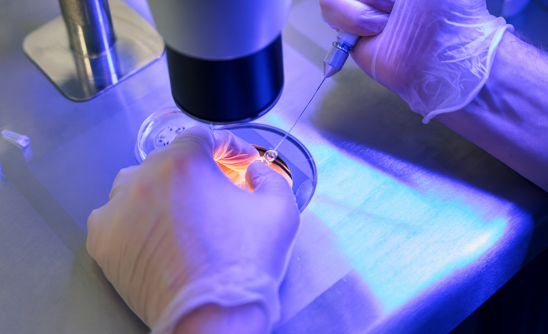 Cutting-Edge Technology